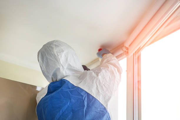 Reliable Burke, VA Mold Removal Solutions