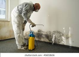 Why You Should Choose Our Mold Remediation Services in Burke, VA